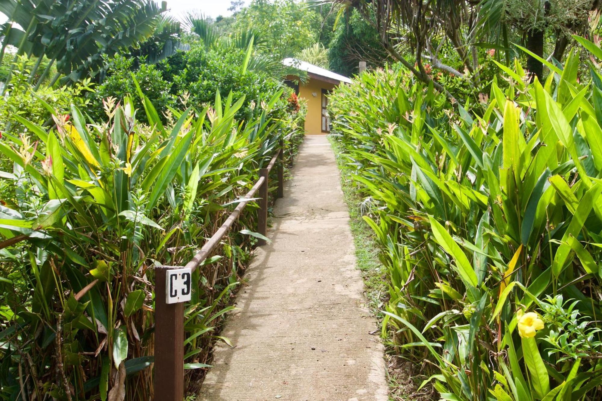 Casa Rosa Inn And Restaurant Taytay (Palawan) Exterior foto